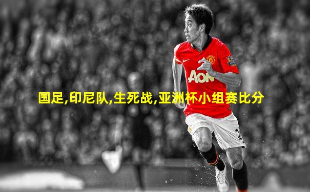 国足,印尼队,生死战,亚洲杯小组赛比分