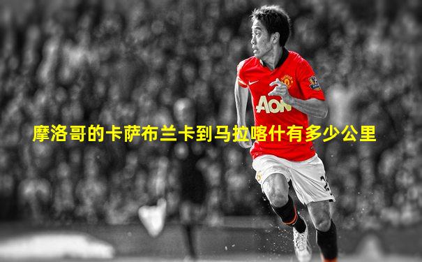 摩洛哥的卡萨布兰卡到马拉喀什有多少公里