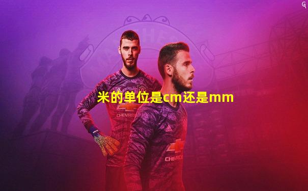 米的单位是cm还是mm