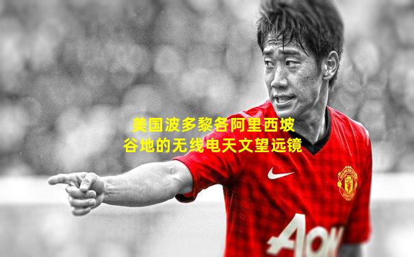 美国波多黎各阿里西坡谷地的无线电天文望远镜