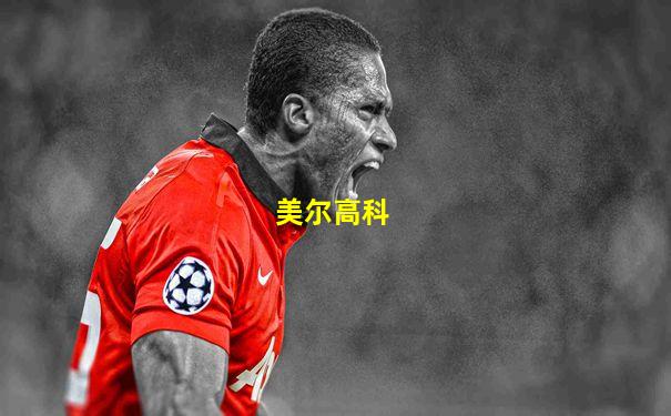 美尔高科