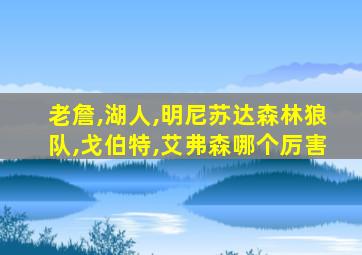 老詹,湖人,明尼苏达森林狼队,戈伯特,艾弗森哪个厉害