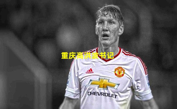 重庆高洪波书记